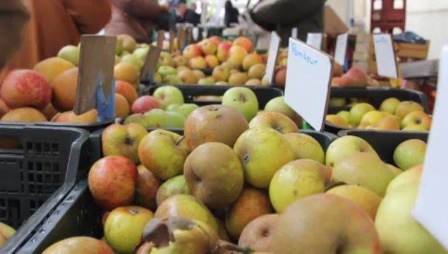 Formations environnementales dans le Vexin français