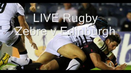 Rugby Match Zebre vs Edinburgh 29 March 2013