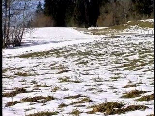 L'Hermine, le Renard et le Blaireau