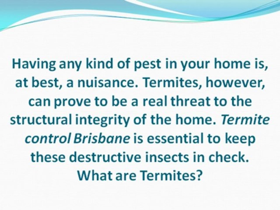 Taking on Termites