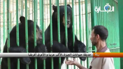 حديقة حيوانات الجيزة..الأكبر عربيا و الأعرق أفريقيا