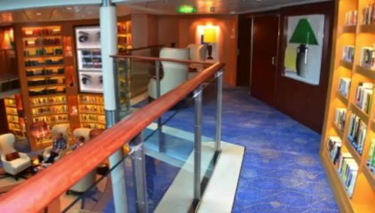 INAUGURATION CELEBRITY REFLECTION