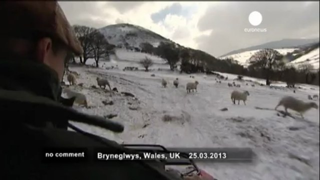 Thousands of animals feared dead in UK... - no comment