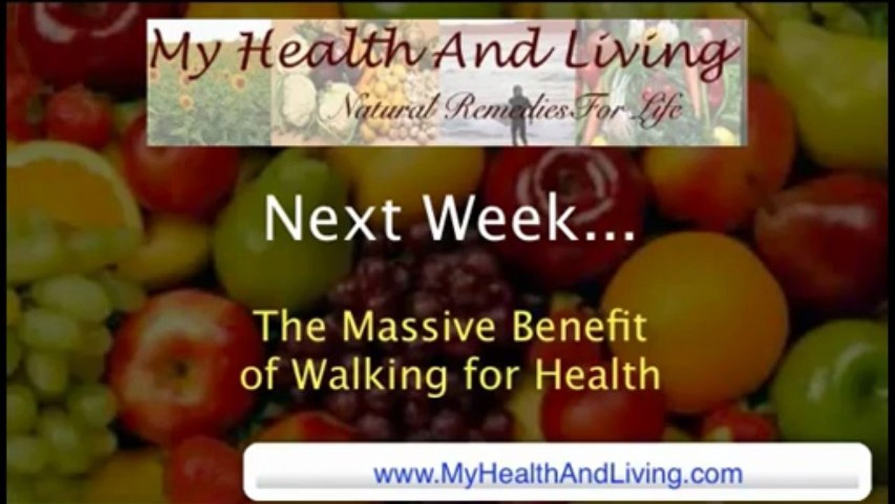 The Curse of Artificial Sweeteners: Xylitol, Stevia, and Raw Honey – Part 5