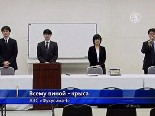 В аварии на «Фукусиме-1» виновата крыса