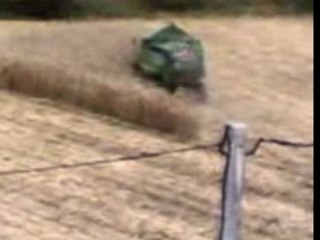 Moisson d'un champs de maïs