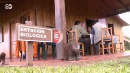 Deforestación: el precio que paga Paraguay por el auge económico | Global 3000