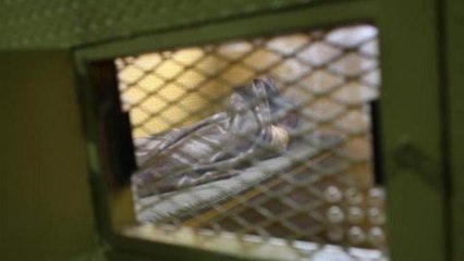 Inside Story Americas - The ethics of solitary confinement