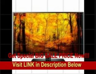 [SPECIAL DISCOUNT] LG 55LS4500 55 1080p 120Hz Edge LED HDTV