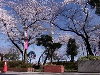 Без комментариев