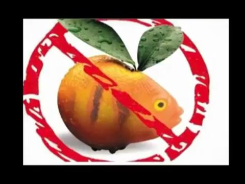 Genetiği Değiştirilmiş Organizmalar 2