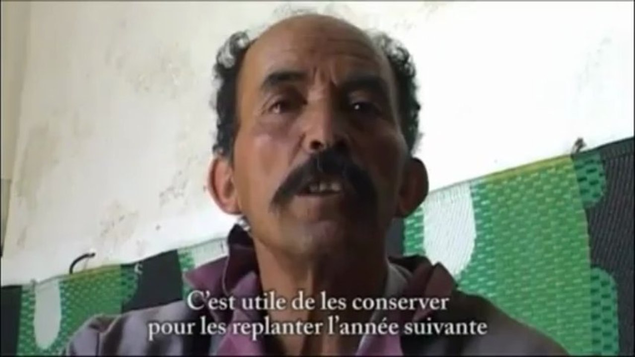 Semences de Resistance
