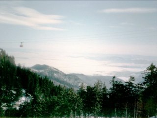 "The Escape" - Declan Williams (Original Piano Composition)