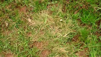 Rallye de marcillac 2013 Es3 n°20-22-24-25-26-27