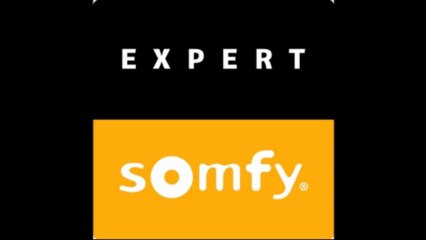 Stores et Fermetures du Prarion PORTE SECTIONNELLE BOIS