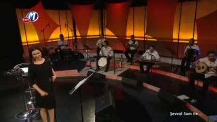 şevval sam    -  şarkılar seni söyler  2012