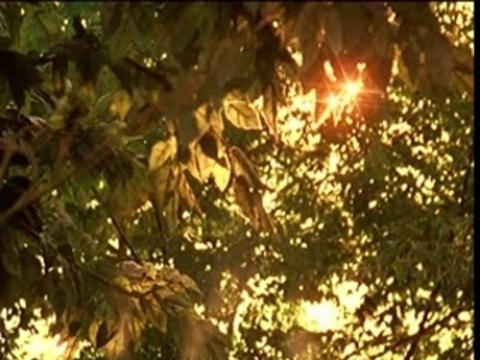 Air - Playground Love (Virgin Suicide)