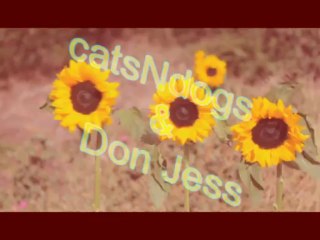 Don Jess & catsNdogs - la scampagnata