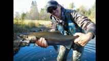 Upper Peninsula Michigan Fly Fishing Coho Salmon 2012