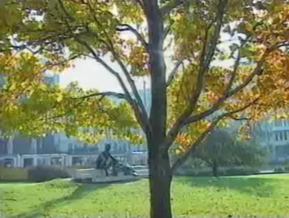 汎ヨーロッパ・ピクニック(4-6)