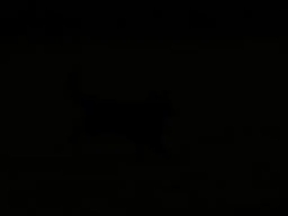 bawl des orckis de l'adret