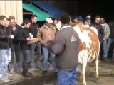 Visite de ferme en Suisse - la ferme Everdes
