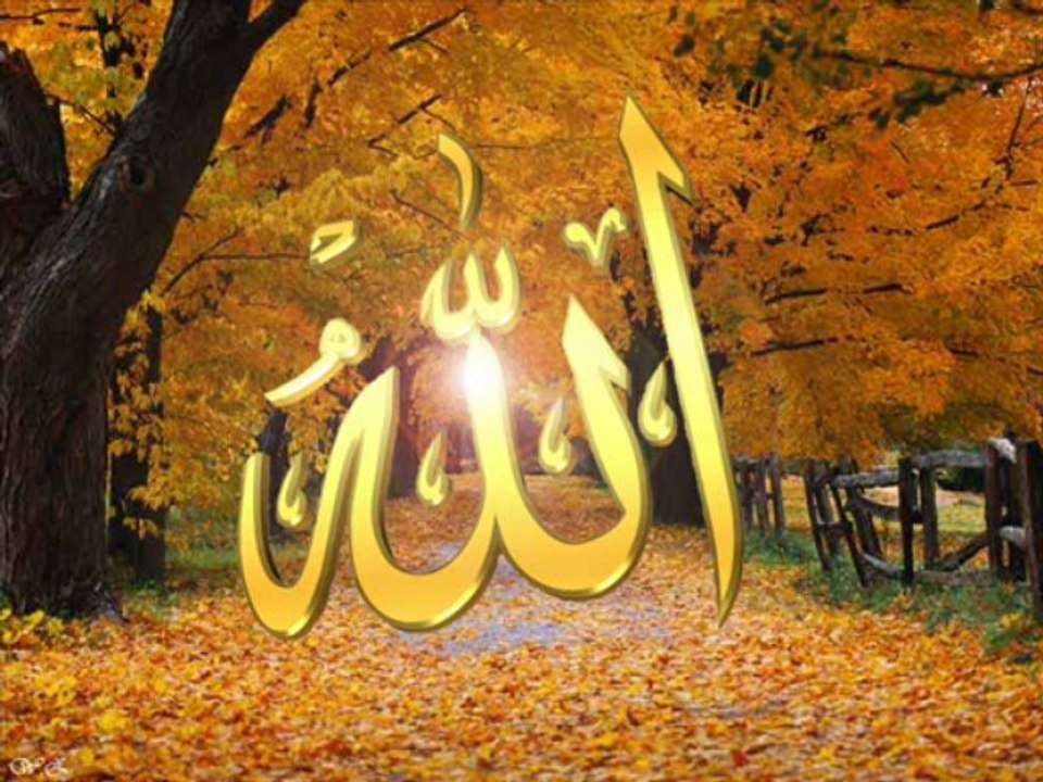 ishak Danış - İbrahim Suresi -KESİNLİKLE DİNLEYİN