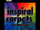 INSPIRAL CARPETS - GIMME SHELTER (album version) HQ