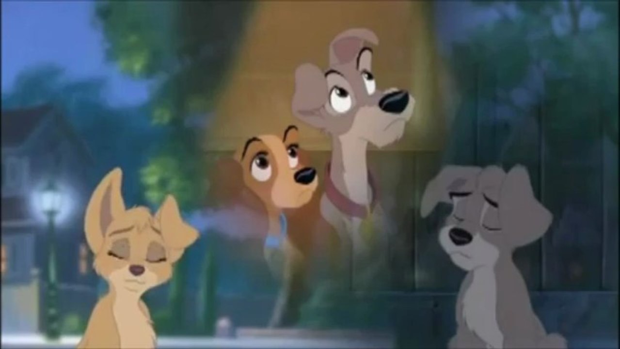 film La Belle et le clochard 2 Lappel de la rue (v) bande annonce vf