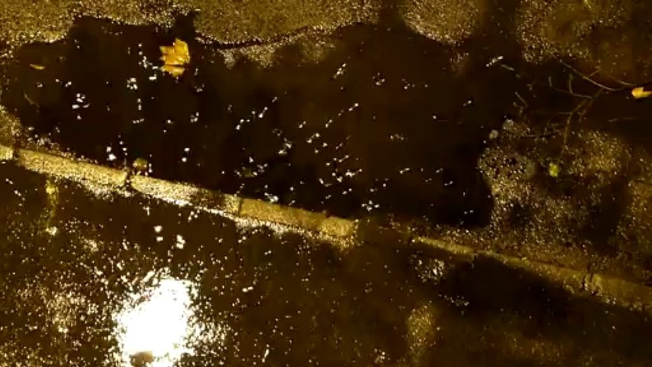 Rain 3 - Free HD stock footage