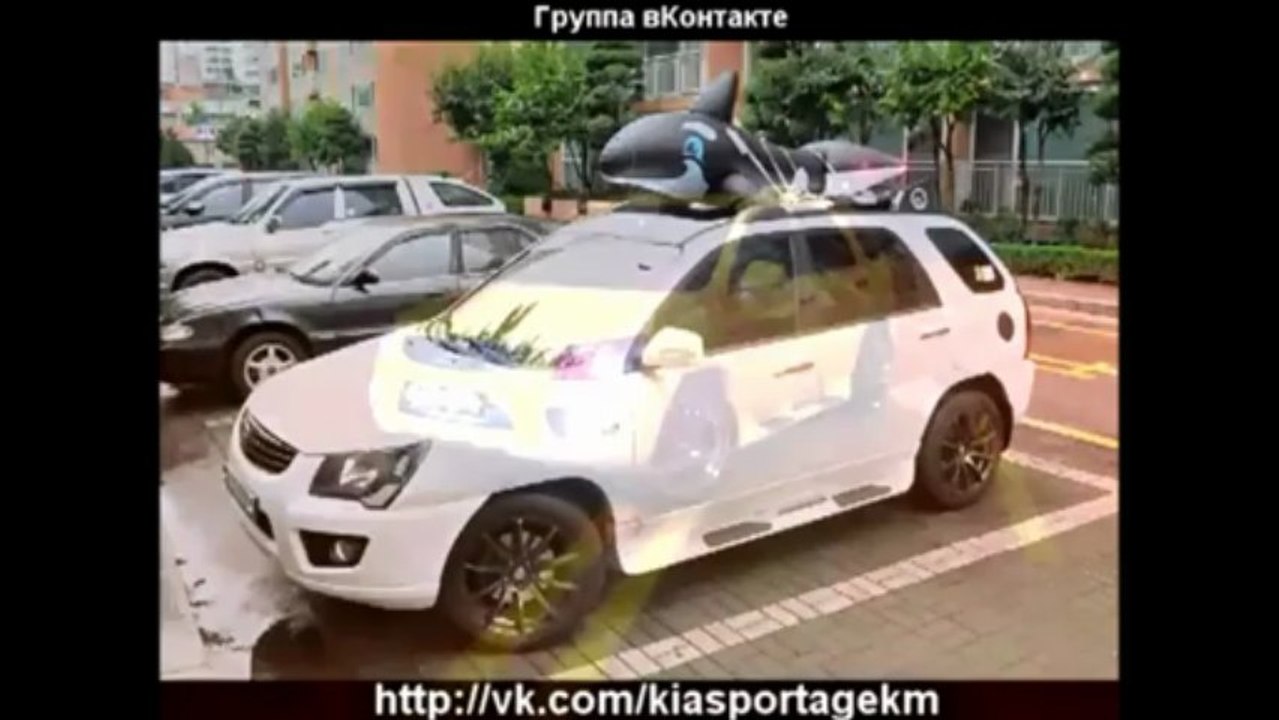 WWW.CARTUNINGREVOLUTION.COM