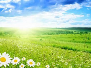 MUSTAFA TERECİ VAZ GEÇTİ LEYLAM