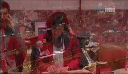 PL élections locales - Intervention en séance du député Denaja - 20 février 2013