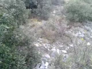 video-2013-03-27-07-38-53