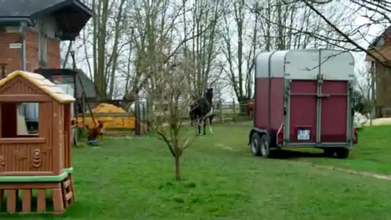 Dollar & loulou-mars2013