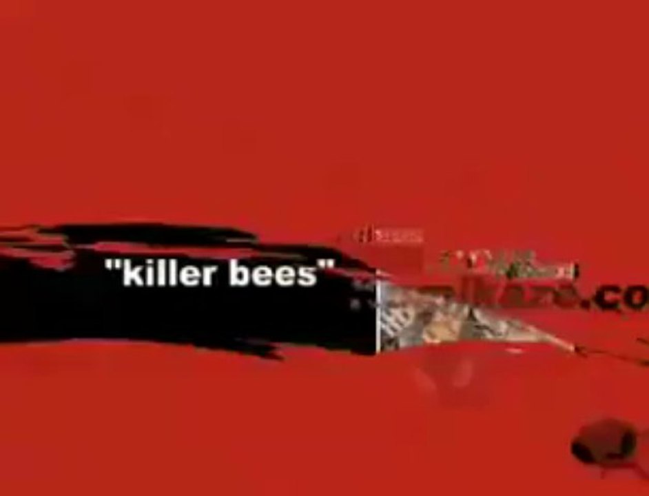 هجوم النحل على ملعب كرة قدم - YouTube