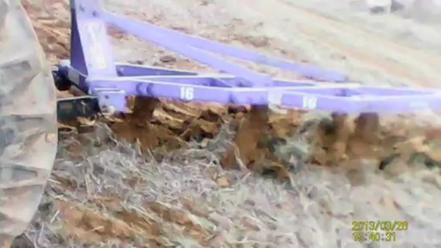 tümosan 16 no pulluk ile anız yeri sürümü