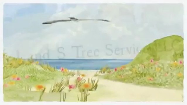 J and S Tree Service LLC (985) 290-5002