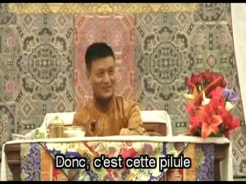 Les Trois Pilules. Partie 1 méditation bouddhiste. TENZIN WANGYAL RINPOCHE