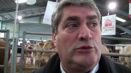 Autour de la manifestation de boeufs de Pâques