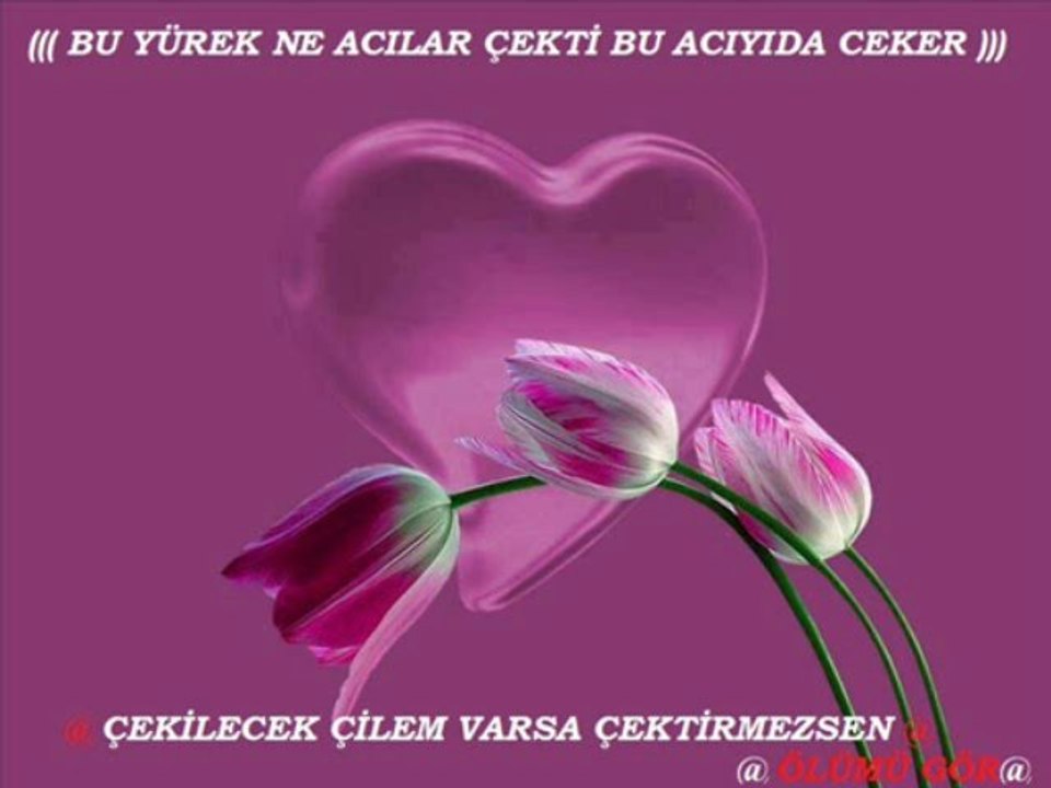 Yıldırım Budak Ölümü Gör