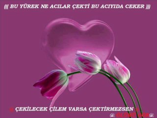 Yıldırım Budak Ölümü Gör