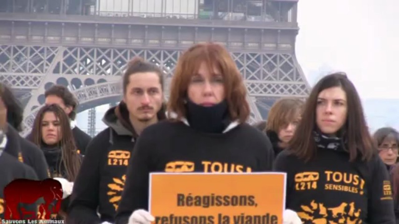 Des lapins morts au coeur de Paris (27.03.2013)