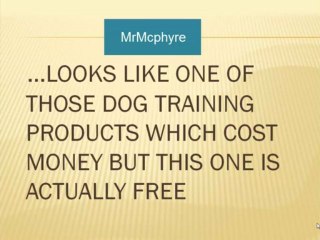 The Secrets Behind Dog Training At Home