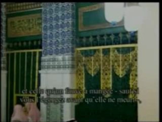 Le Coran pour toute l'humanité - partie 11