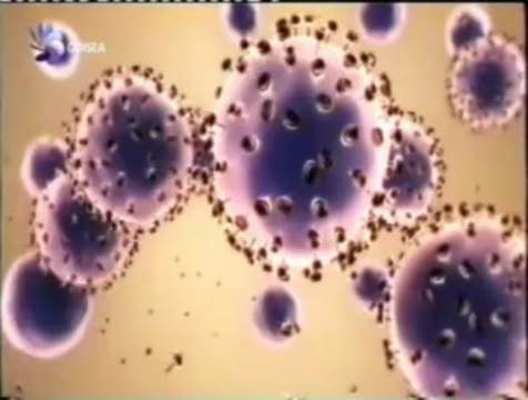 Cancer: Nanoparticulas dirigidas contra el tumor