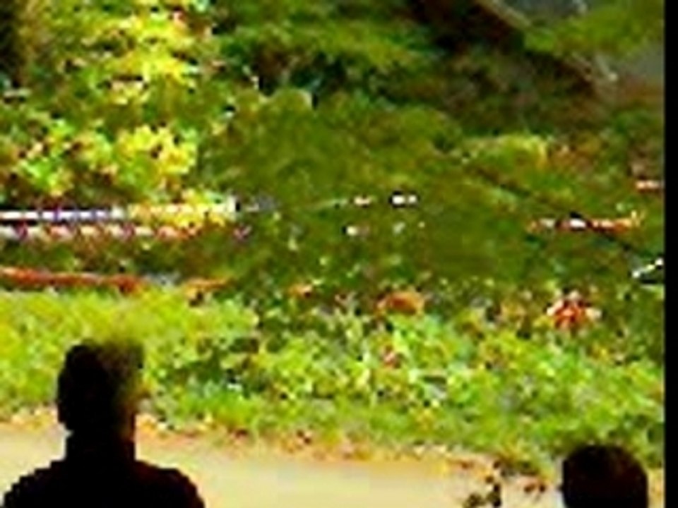 rallye d'alsace 2006