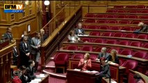 Le Sénat vote un texte UMP sur les allocations familiales - 28/03