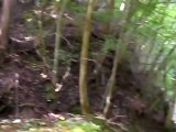 西丹沢の滝「下棚」「本棚」の映像