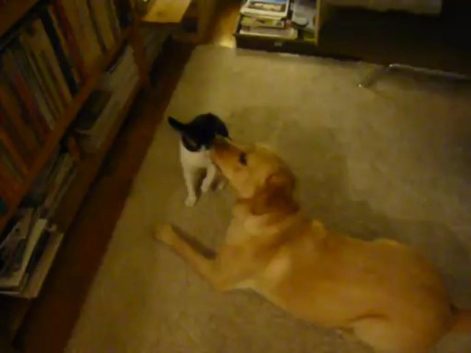 MAIS HEUUU VIENS JOUER !!